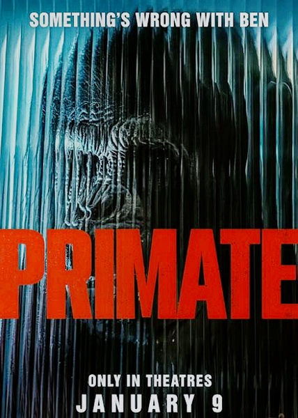 Primate
