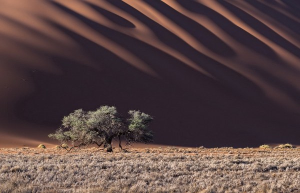 New Mixed HD Wallpapers Pack 349