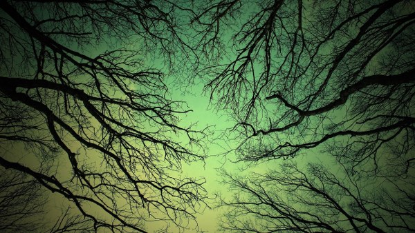 New Mixed HD Wallpapers Pack 393